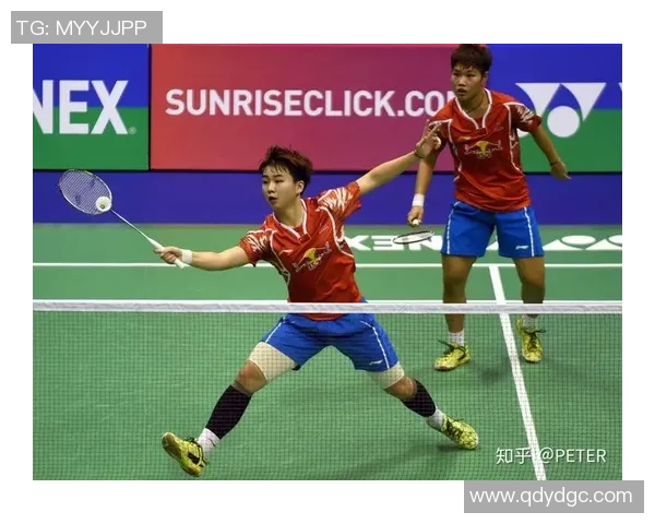 南京羽毛球队区域防守策略分析与战术应用探讨