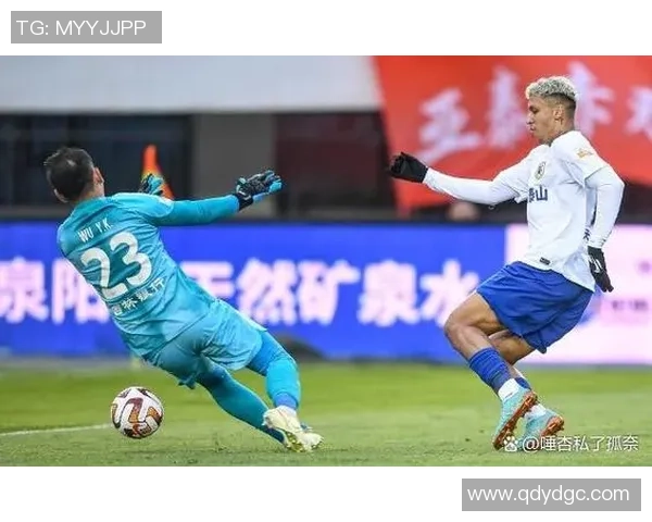 杭州排球队力量争议引发热议球迷与专家观点交锋激烈