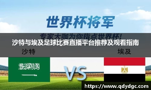 沙特与埃及足球比赛直播平台推荐及观看指南
