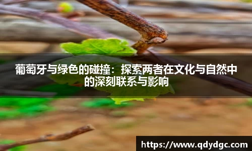 葡萄牙与绿色的碰撞：探索两者在文化与自然中的深刻联系与影响