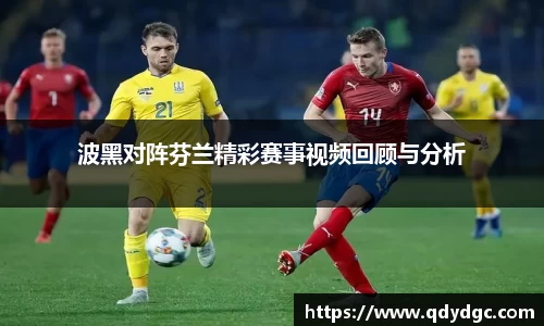 波黑对阵芬兰精彩赛事视频回顾与分析