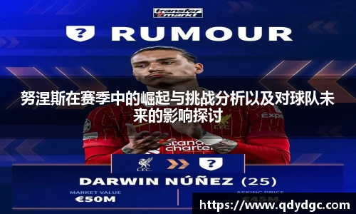 努涅斯在赛季中的崛起与挑战分析以及对球队未来的影响探讨