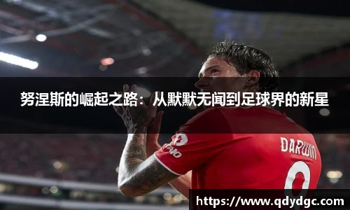 努涅斯的崛起之路：从默默无闻到足球界的新星